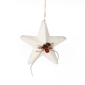 Christmas Star Decoration