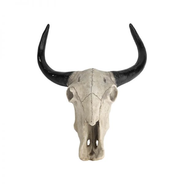 Bull Longhorn Resin Sculpture