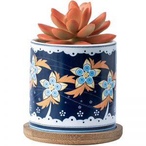 Ceramic Flower Pots