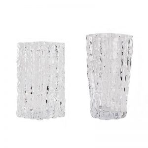 Transparent Glass Vase
