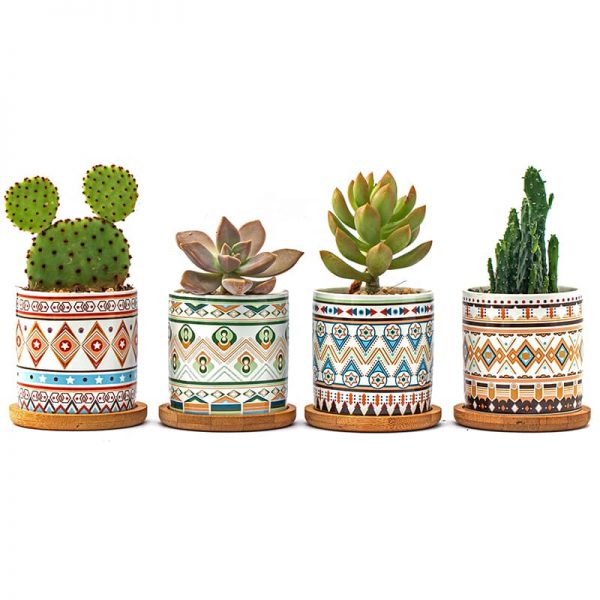 Ceramic Plant Pots