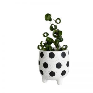 Cute Ceramic Flower Pot