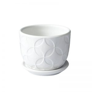 White Ceramic Flower Pots